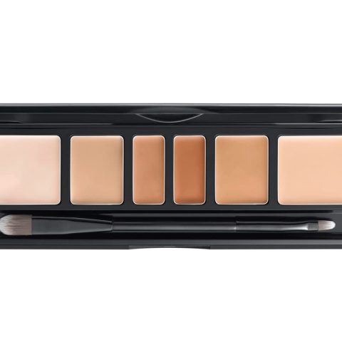 Artist Concealer Palette (Skin) | Makeup Artist | Color Corrector with Brush | Blemish Redness Dark Circles Cover Up