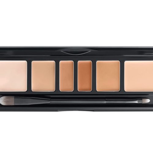 Artist Concealer Palette (Skin) | Makeup Artist | Color Corrector with Brush | Blemish Redness Dark Circles Cover Up